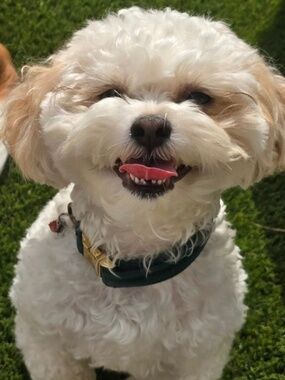 Meet your Posher, kdwb